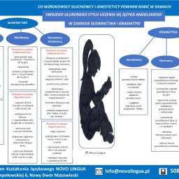 Centrum Kształcenia Językowego NOVO LINGUA - Infografika Centrum Kształcenia Językowego Novo Lingua w Nowym Dworze Mazowieckim, prezentująca metody nauki słownictwa i gramatyki języka angielskiego dla wzrokowców, słuchowców i kinestetyków.