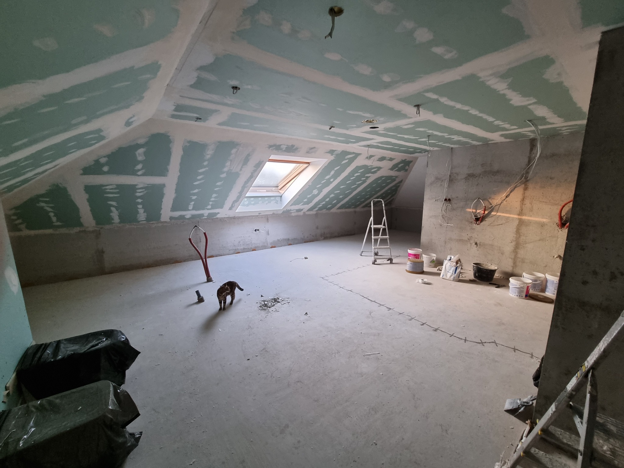 Poddasze w trakcie prac wykończeniowych: zamontowane płyty gipsowo-kartonowe na skosach dachu i suficie, widoczne okno dachowe, instalacje elektryczne, drabina, worki z materiałami budowlanymi...