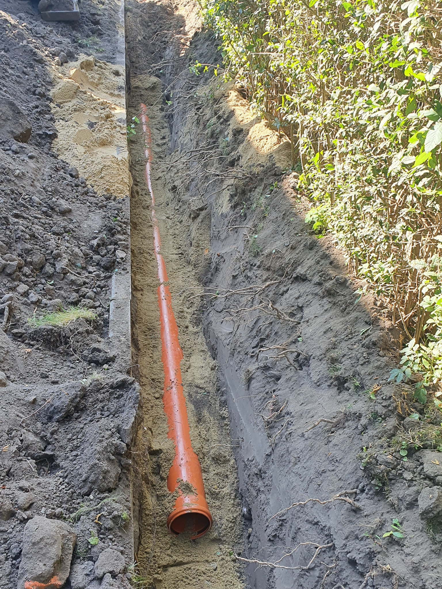 Wąski wykop w ziemi z ułożoną pomarańczową rurą kanalizacyjną, widoczne korzenie i roślinność na brzegu wykopu.