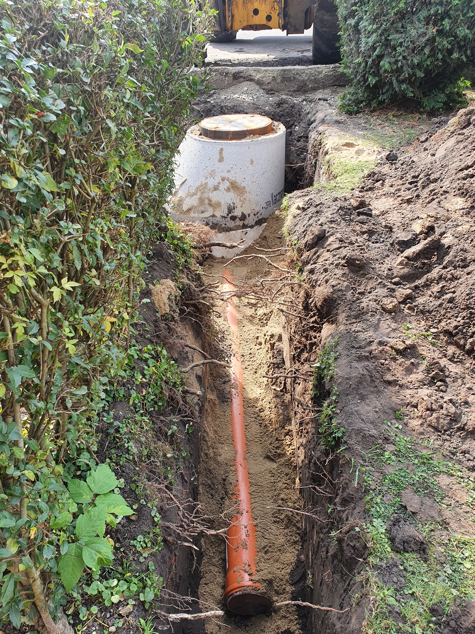Głęboki wykop z pomarańczową rurą kanalizacyjną na dnie, obok betonowy zbiornik z pokrywą, ziemia z korzeniami i zielenią na brzegach, w tle fragment żółtej maszyny budowlanej.