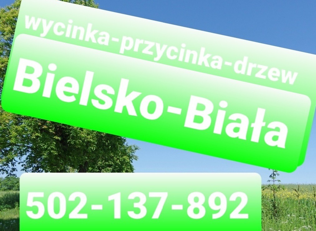 Reklama firmy oferującej wycinkę drzew w Bielsku-Białej, z numerem telefonu na zielonym tle i fragmentem drzewa.