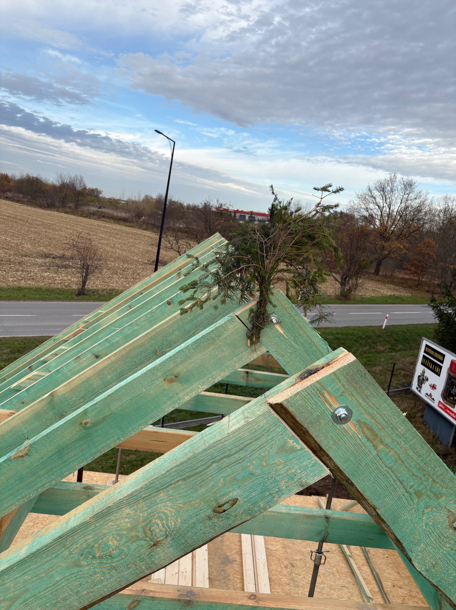Konstrukcja dachu z zielonych belek, z małym drzewkiem wyrastającym z kalenicy, na tle pochmurnego nieba i krajobrazu. Widoczne elementy złączne.