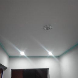 Piotr Bogdański - Świeżo pomalowany sufit i ściany na biało z dekoracyjną, turkusową listwą przy suficie, widoczne dwa punkty oświetleniowe i fragmenty dwóch otworów drzwiowych.