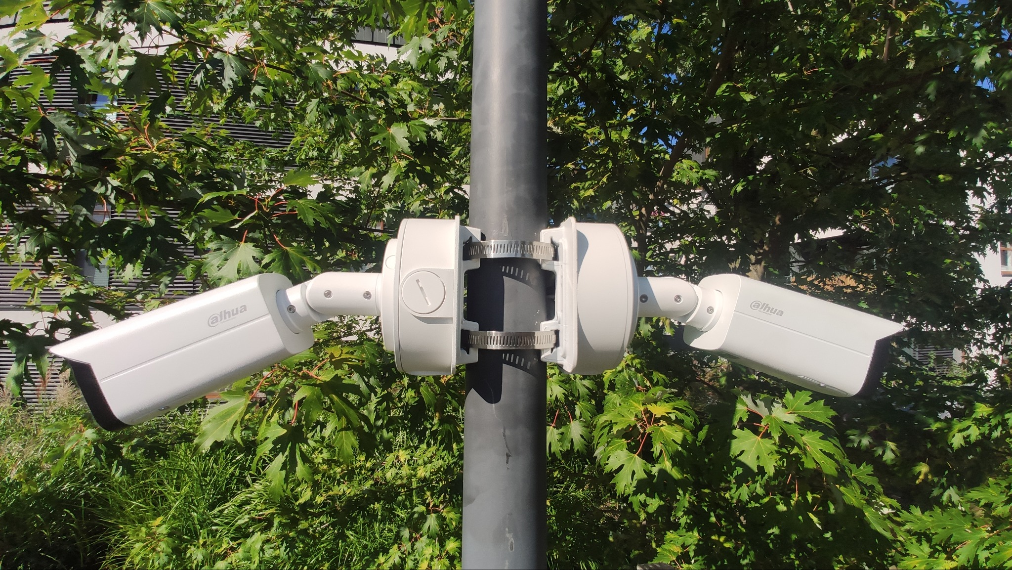 Dwie kamery monitoringu Dahua zamontowane symetrycznie na słupie, otoczone zielenią drzew.