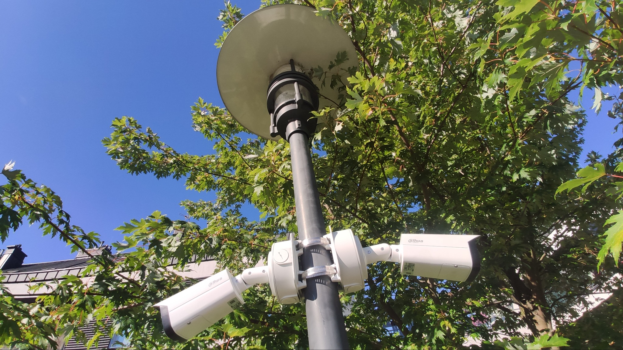Trzy kamery monitoringu Dahua zamontowane na słupie oświetleniowym, widok z dołu na tle błękitnego nieba i zielonych liści drzew