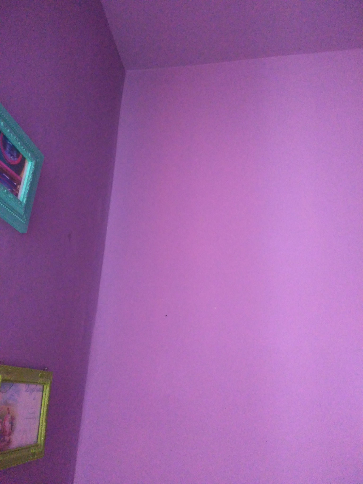 Fioletowa ściana w rogu pokoju z dwoma wiszącymi obrazami w ozdobnych ramkach.