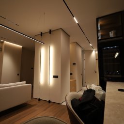 Pro_Poziom - Nowoczesne wnętrze mieszkania z oświetleniem liniowym LED na suficie i pionowymi panelami LED w ścianach, widoczny fragment sofy i drewniana podłoga.