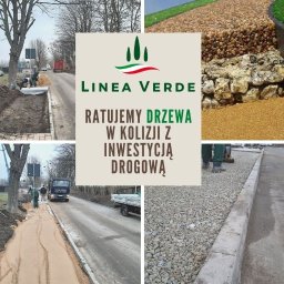 Linea Verde Sp. z o.o. - Perfekcyjna Architektura Zieleni Wrocław