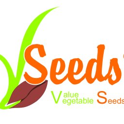 VSeeds Trade Maciej Jazic