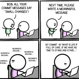 Programista Gniezno 1