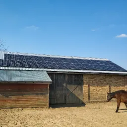 Rustykalna stodoła z cegły i drewna z panelami fotowoltaicznymi na blaszanym dachu, z brązowym koniem na piaszczystym wybiegu w słoneczny dzień.