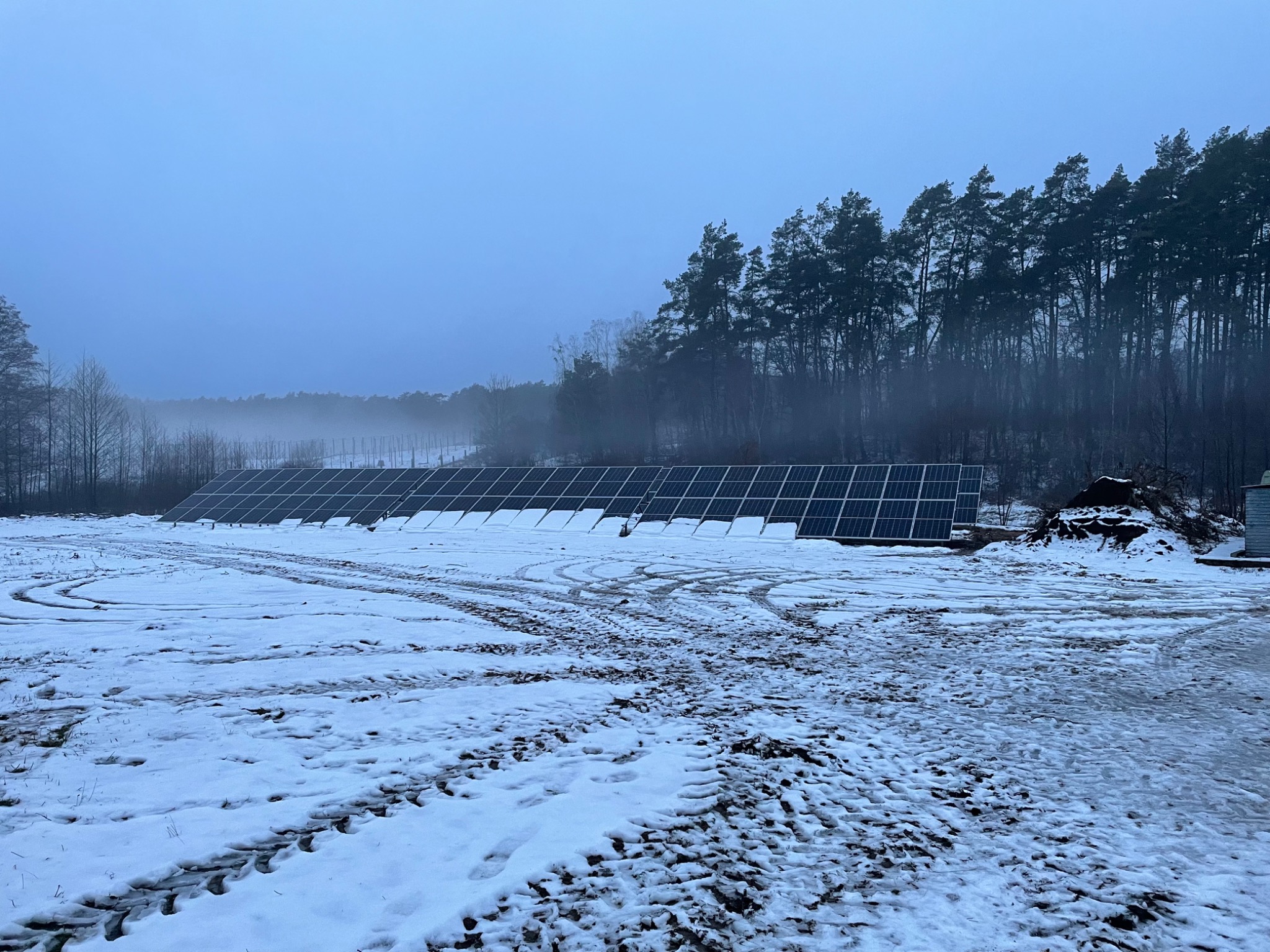 Rząd paneli słonecznych na zasypanym śniegiem polu, z widocznymi śladami opon i lasem w tle, w pochmurny dzień.