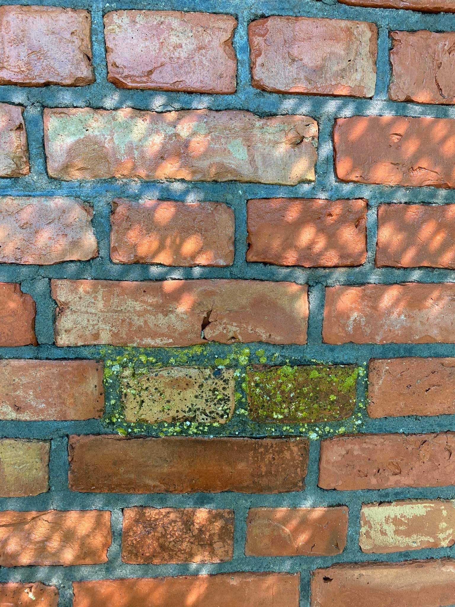 Fragment murowanej ściany z czerwonej cegły, z widocznymi śladami mchu na jednej z cegieł, oświetlonej filtrowanym światłem słonecznym.