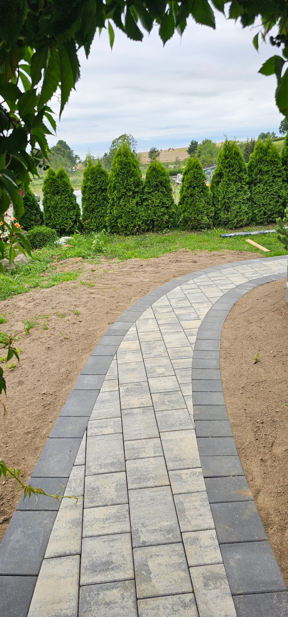 Zakrzywiony chodnik z jasnoszarej kostki brukowej obramowany ciemniejszą kostką, prowadzący przez trawnik z tujami w tle.