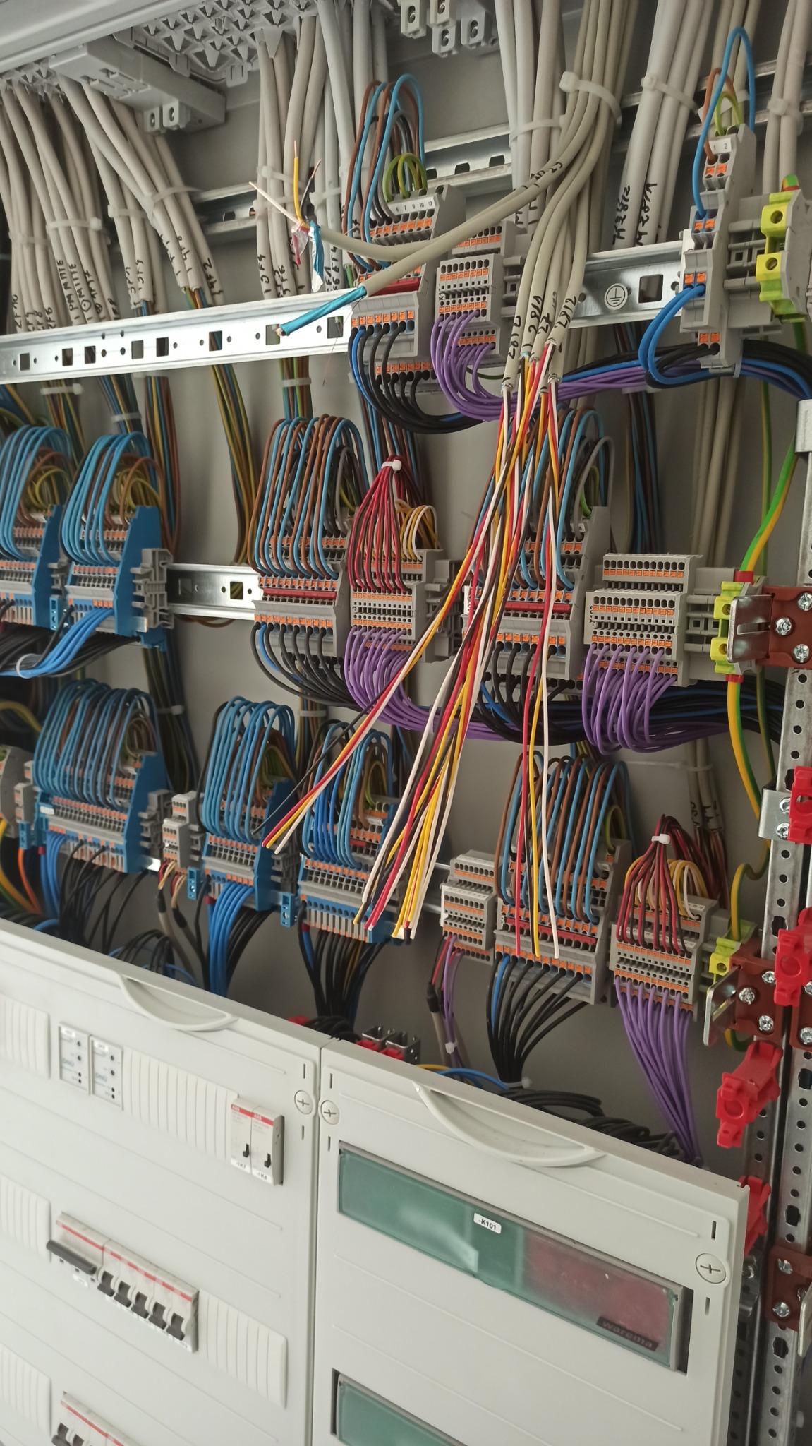 Wnętrze rozdzielnicy elektrycznej z widocznymi bezpiecznikami i licznymi, uporządkowanymi przewodami o różnych kolorach, podłączonymi do listew zaciskowych.