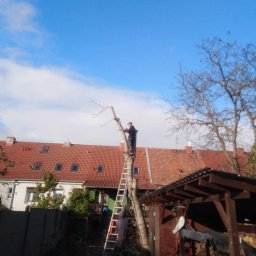 Usługi Wiesław Rusiecki - Profesjonalna Konstrukcja Dachu Kartuzy
