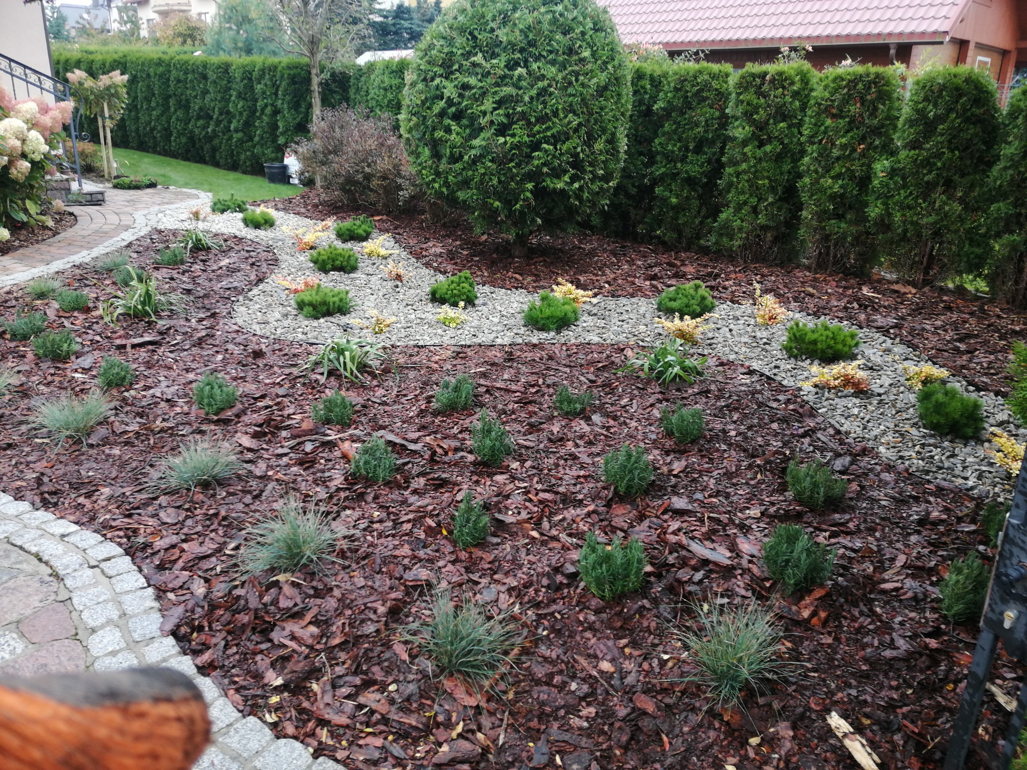 Uporządkowany ogród z krzewami i kamienną ścieżką wyłożony korą, w tle żywopłot z tuj.