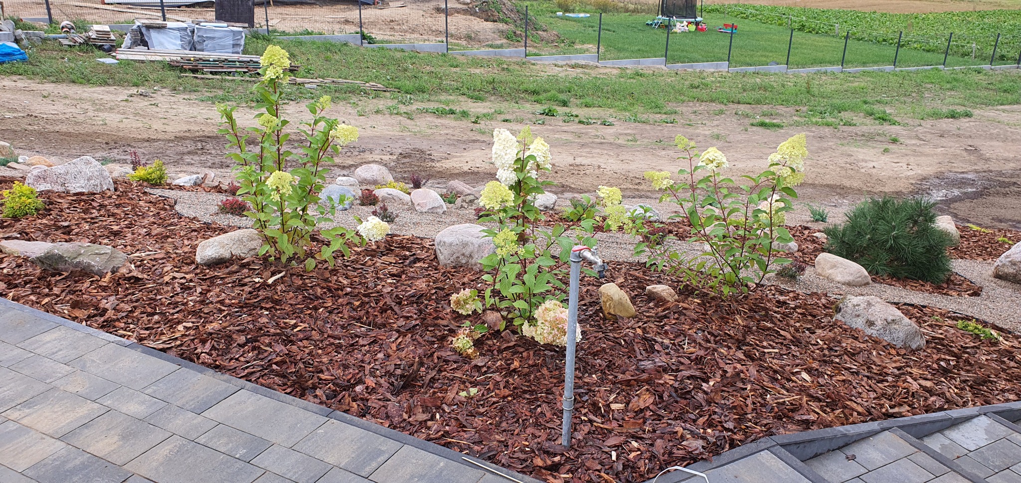 Rabata z hortensjami, korą, kamieniami i doprowadzoną instalacją nawadniającą, widok z góry na nowo założony ogród.