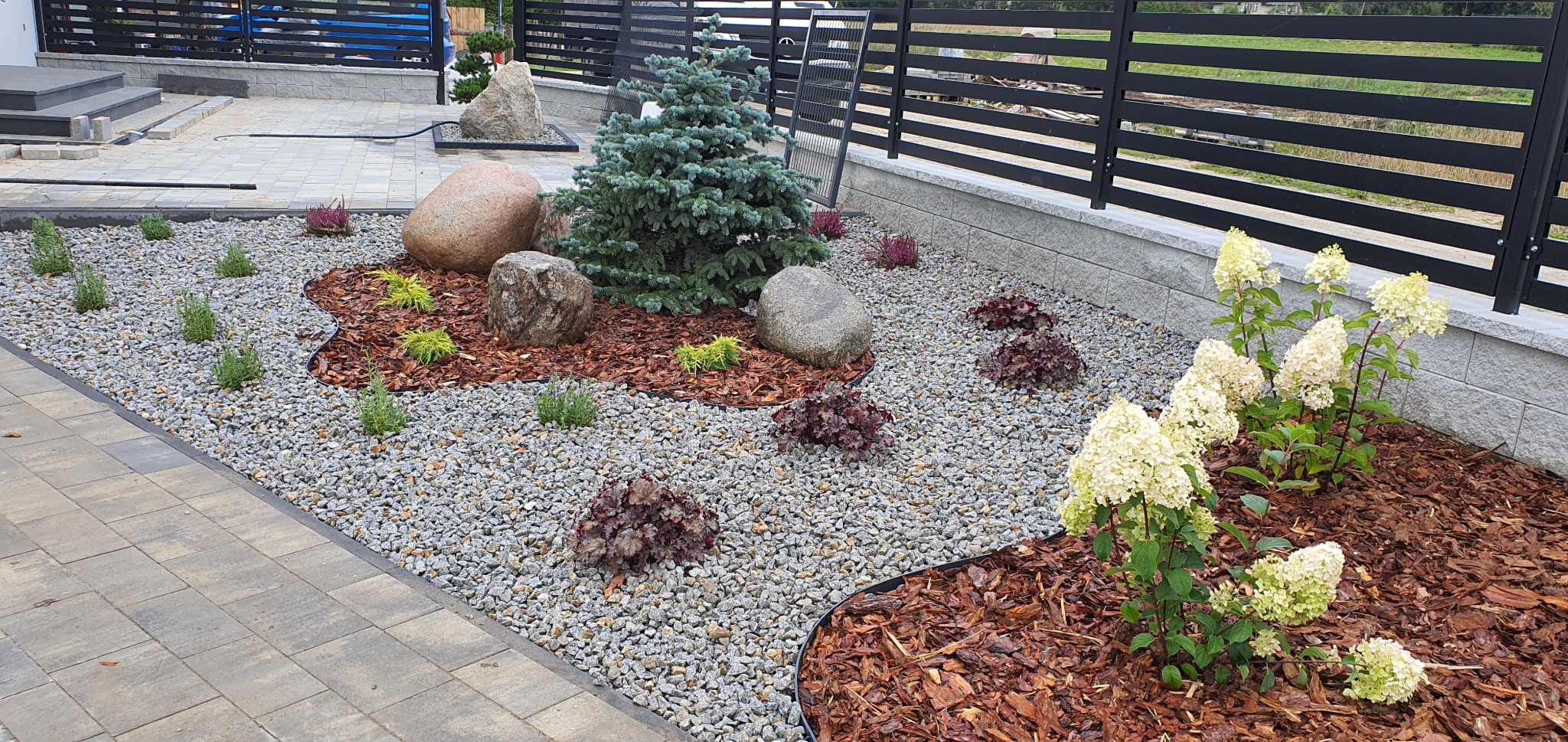 Nowoczesny ogród z nasadzeniami: niebieski świerk otoczony kamieniami, rabaty z korą, żwirowe podłoże i kwitnące hortensje na tle czarnego ogrodzenia.