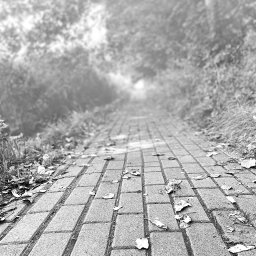 kukuri - Zabudowa GK Warszawa