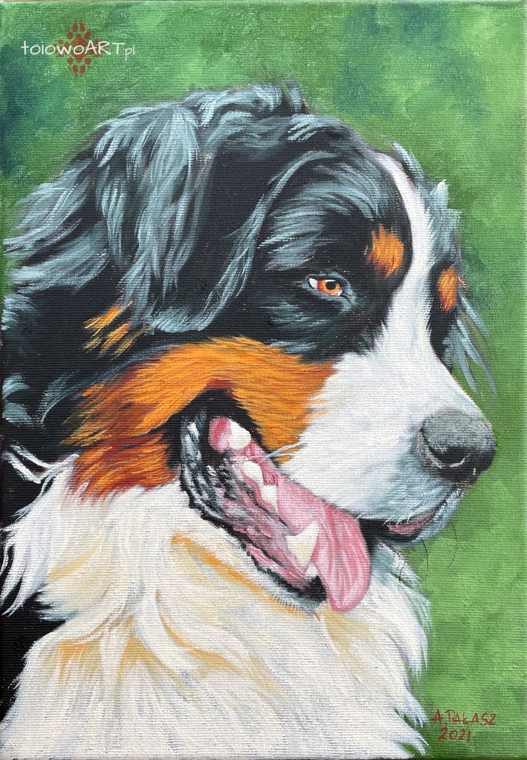 Pies berneński, farby olejne na płótnie.