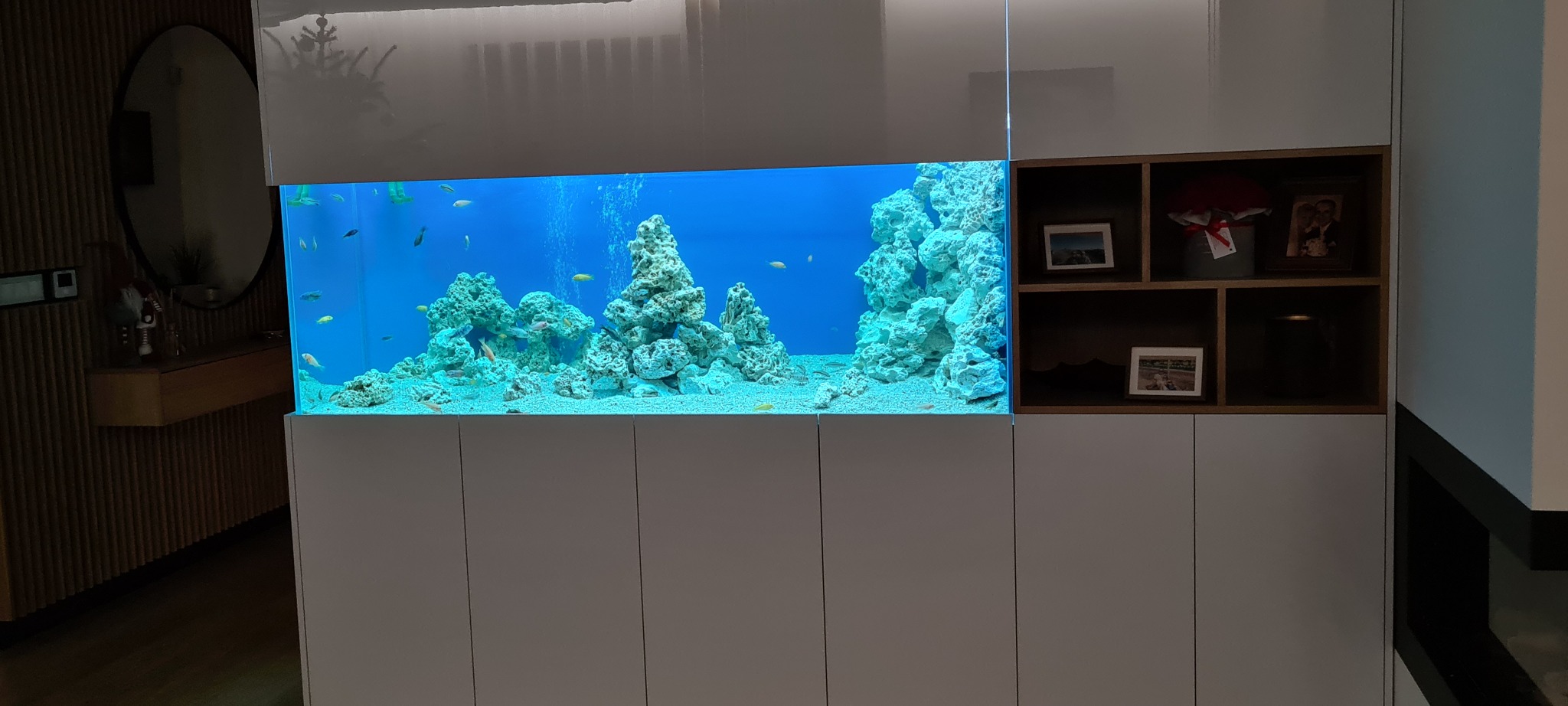 Duże akwarium z niebieską wodą, ozdobnymi skałami i kolorowymi rybkami, wkomponowane w zabudowę meblową w nowoczesnym wnętrzu.