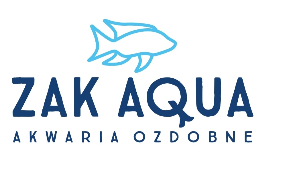 Akwaria ozdobne: projektowanie, aranżacja, serwis. Pełen zakres usług.