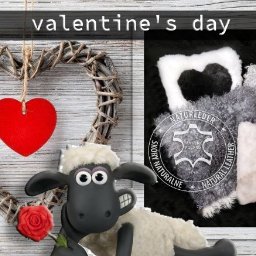 #valentines #love #walentynki #polishgirl #valentinesday #pomyslnaprezent #promocja #tannerypoland #heidschnucke #germany #poland #sheepskin #sheep #eco #ecoleather #ecotannery #leather #dutch #ecosheep #ecoair #europe #texel #
