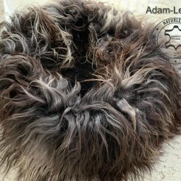 Hundebetten from Adam-Leather 