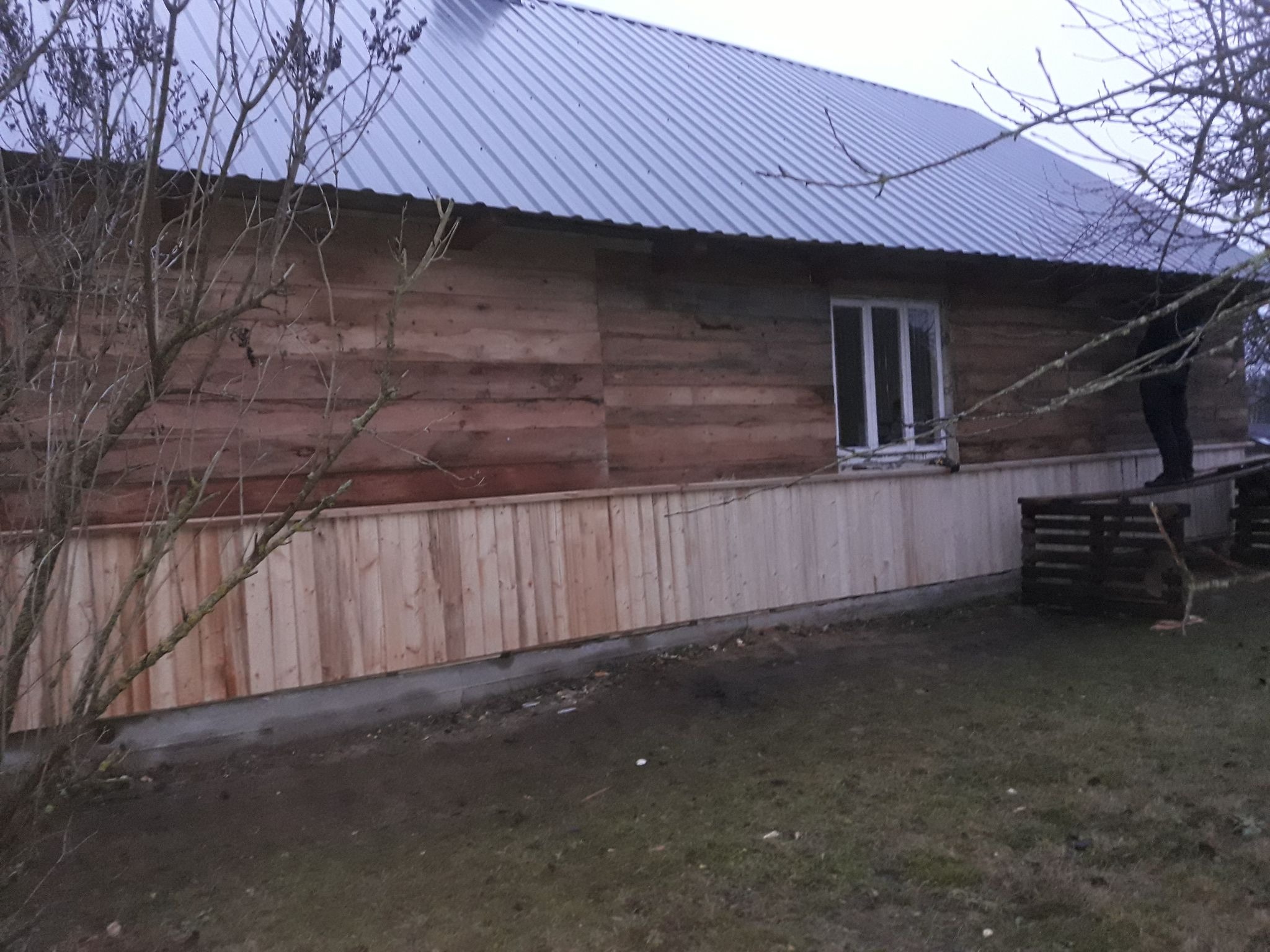 Montaż drewnianej elewacji na starym domu z drewnianych bali, widoczna nowa, jasna boazeria i fragment osoby na rusztowaniu