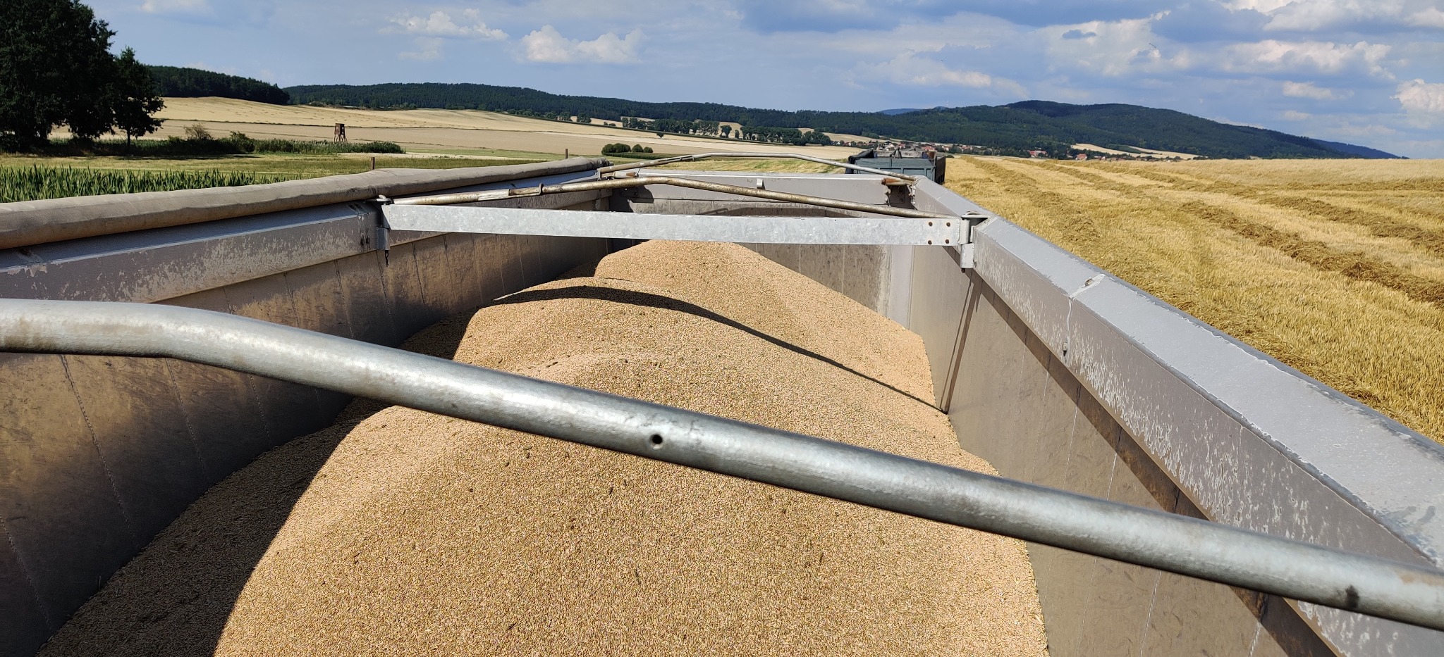 Wnętrze metalowej naczepy wypełnionej ziarnem, widok z góry na pole i wzgórza w tle.