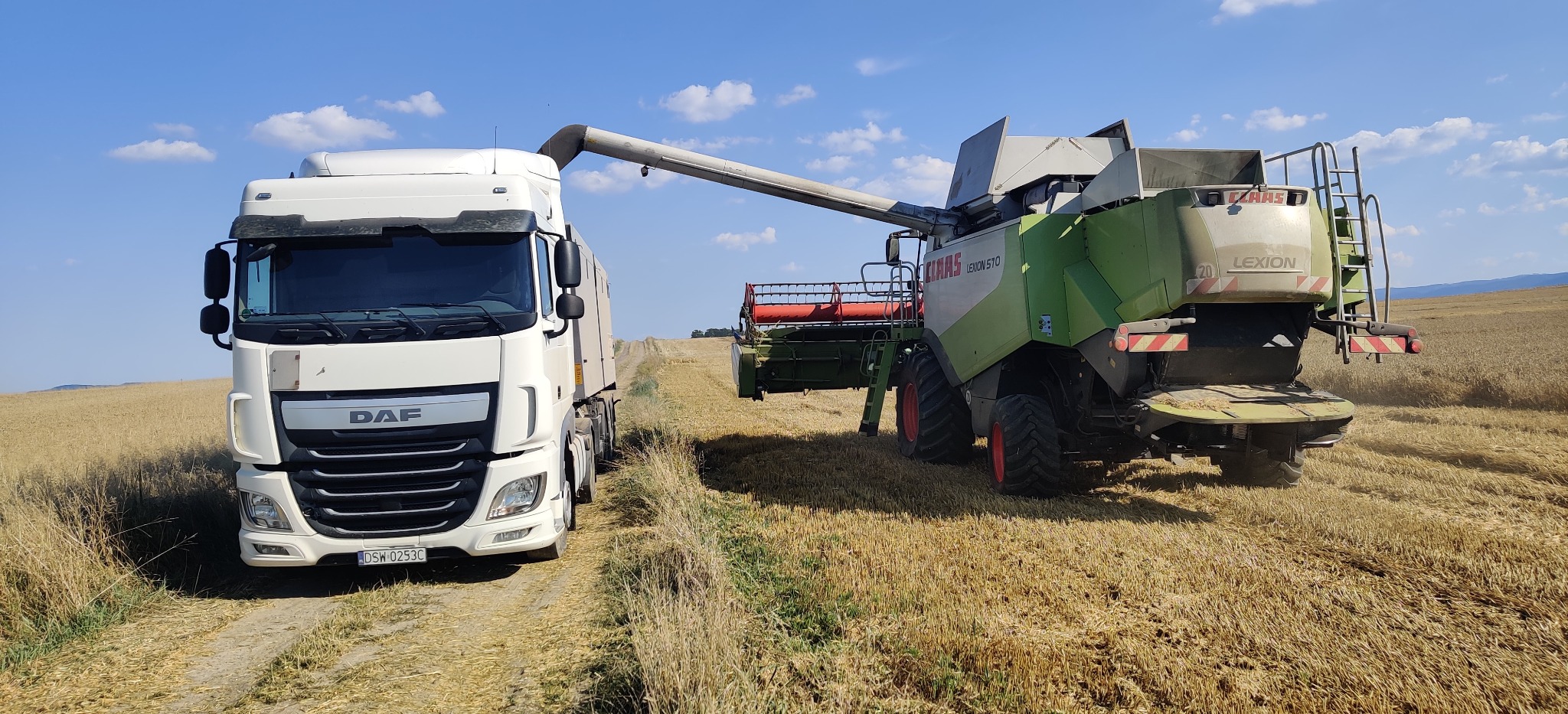 Biała ciężarówka DAF odbiera zboże z kombajnu Claas Lexion 570 na polu w słoneczny dzień.