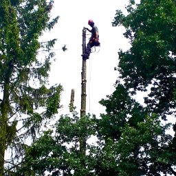 Węgrzecki Norbert - Idealne Prace Na Wysokościach Dzierżoniów