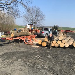 Wycinka drzew Bielawa 4