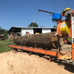 Kłoda drewna na pomarańczowej traku pionowym. W tle budynek gospodarczy, traktor i niebieskie niebo. Widoczne trociny i piła łańcuchowa na kłodzie.