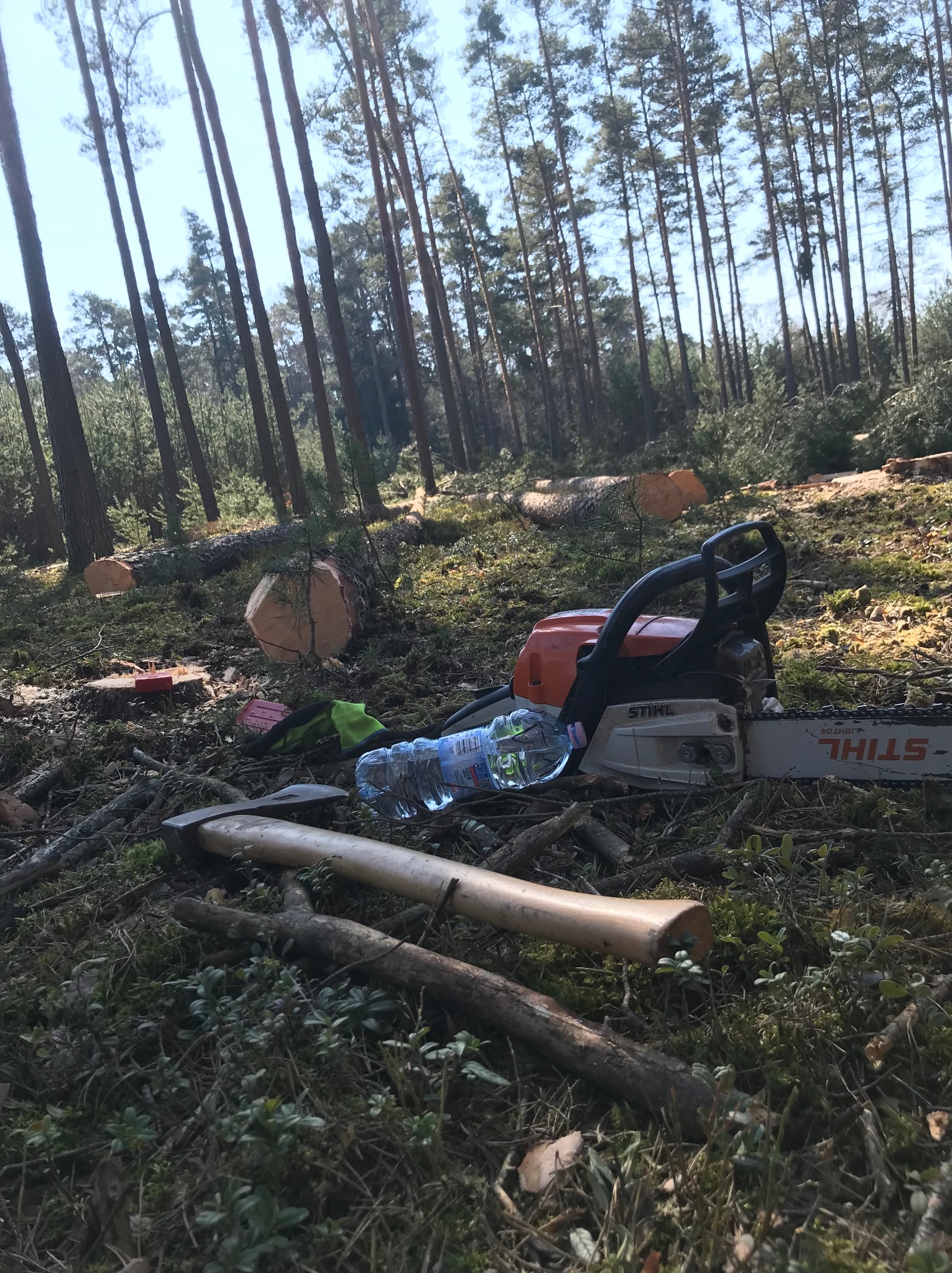 Ścięte pnie drzew w lesie. Na pierwszym planie piła łańcuchowa, siekiera i butelka wody. W tle wysokie drzewa i niebo.