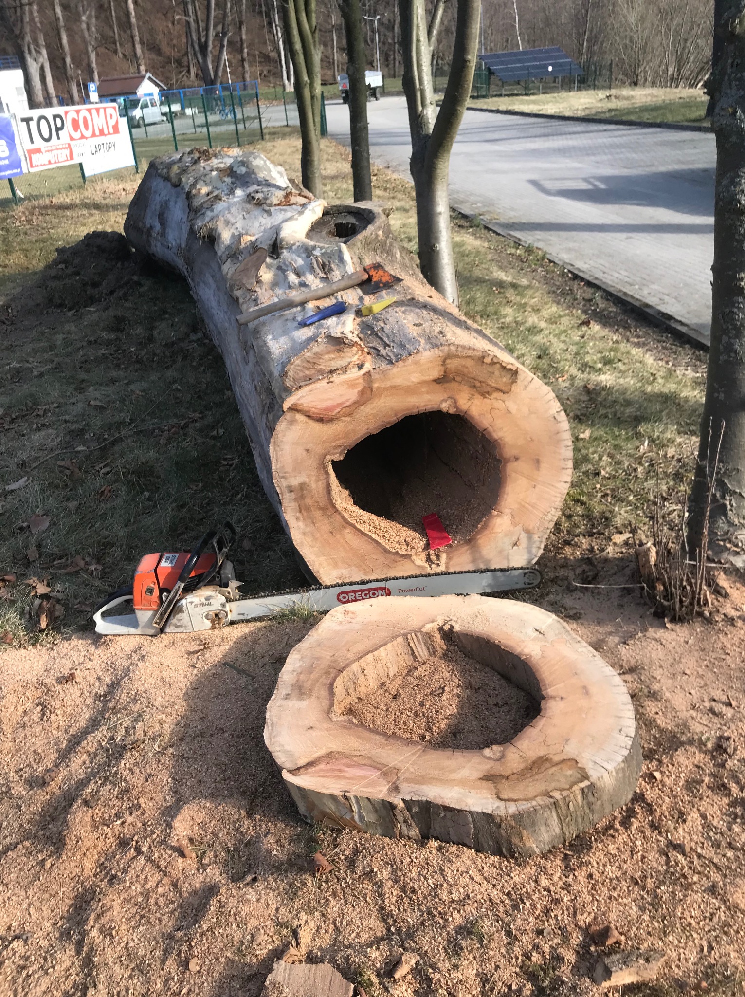 Rzeźbiony pień drzewa z wydrążonym wnętrzem, obok piła łańcuchowa i narzędzia. Widoczne wióry i otoczenie drzew. Słoneczny dzień, praca w toku.