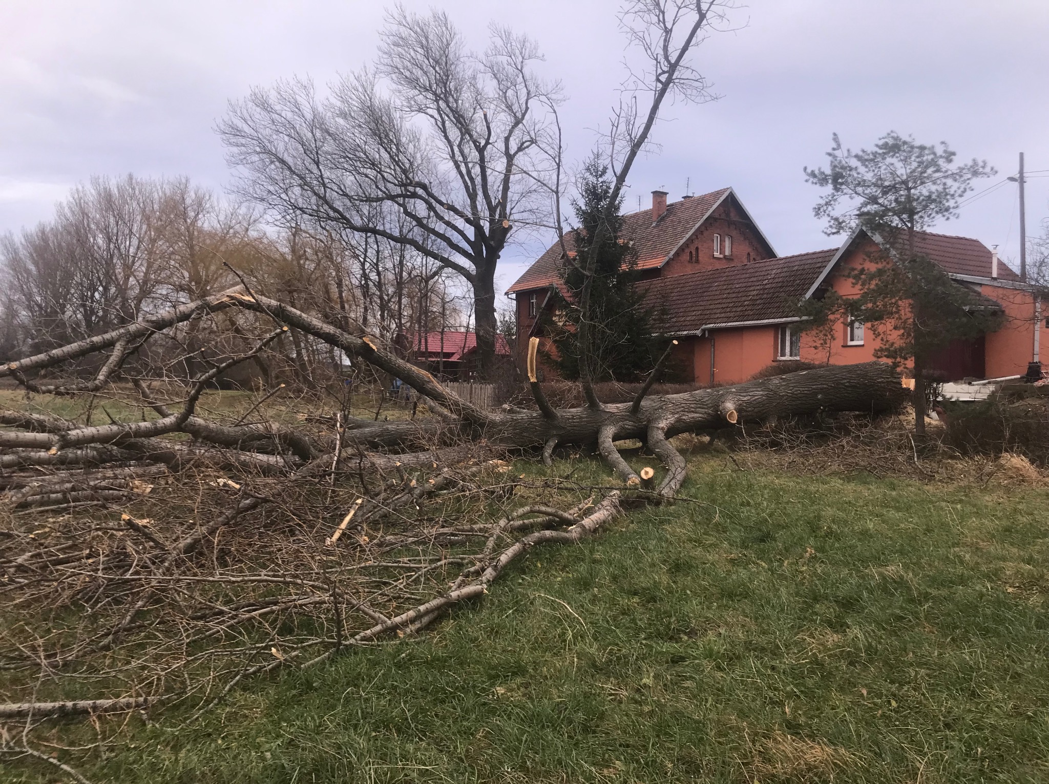 Połamane gałęzie i pień drzewa leżą na trawie przed domem z czerwonej cegły. Widoczne świeże cięcia i pozostałości po wycince.
