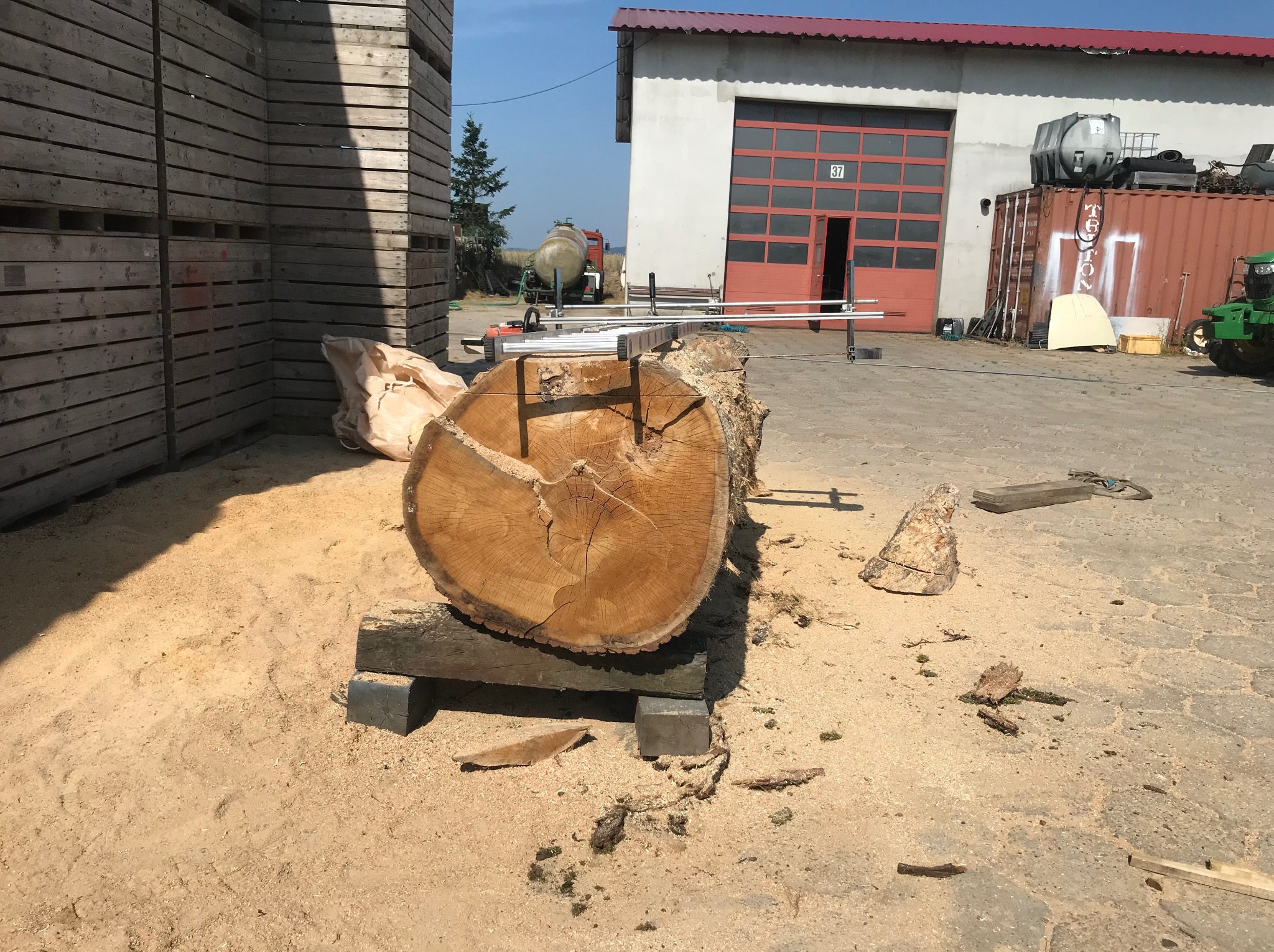 Przekrój pnia drzewa przygotowany do obróbki na zewnątrz, z widoczną piłą taśmową i stertą desek w tle, w słoneczny dzień.