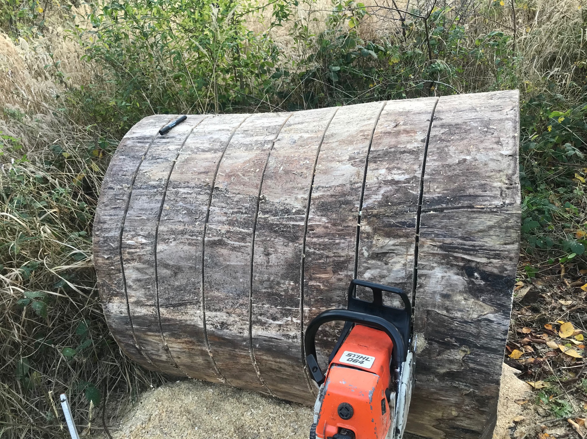 Kłoda drewna z nacięciami, leżąca na trawie obok piły łańcuchowej Stihl 064. Widoczne wióry i otaczająca roślinność.