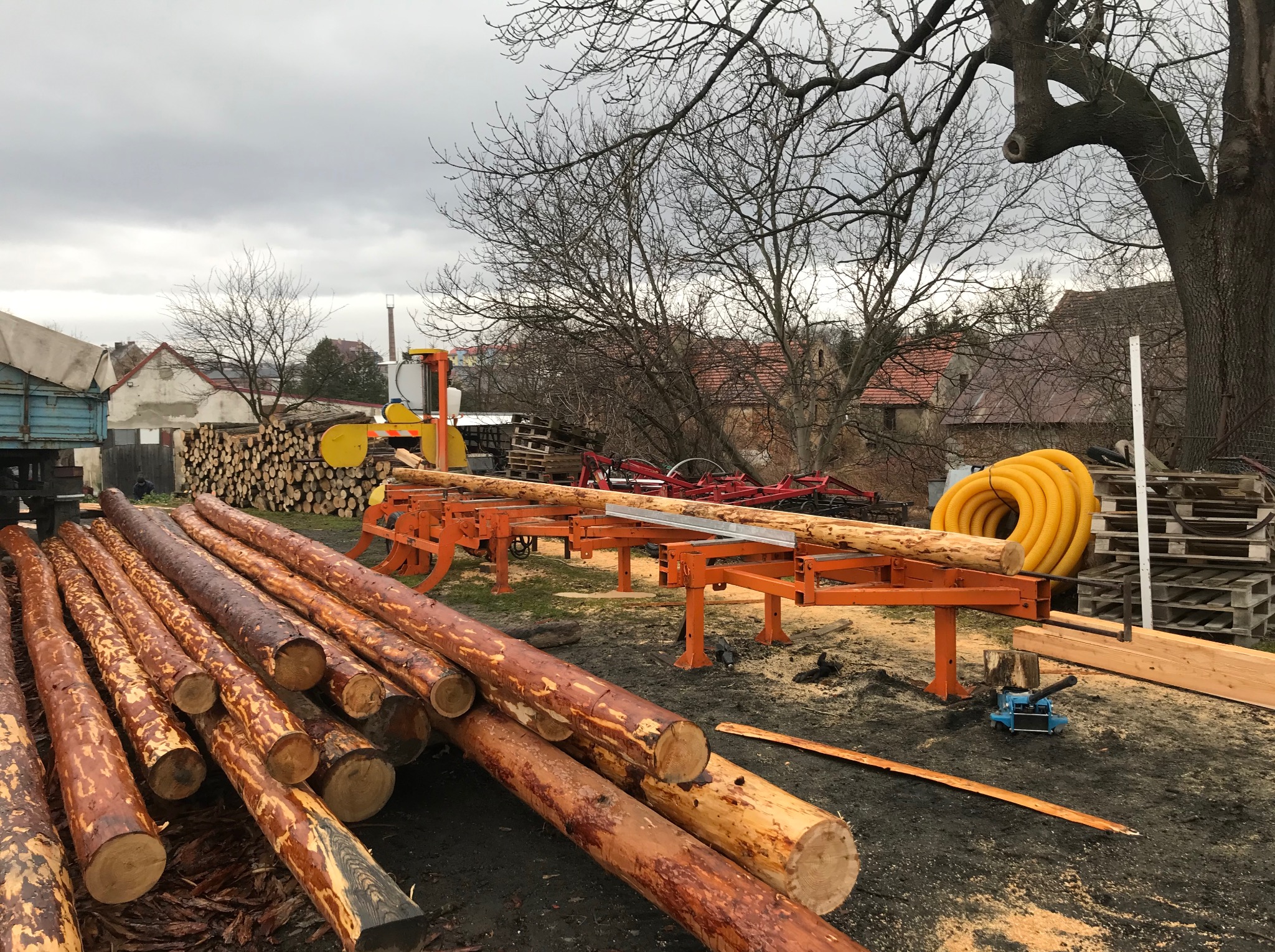 Świeżo ścięte, mokre bale drewna ułożone na ziemi obok pomarańczowej maszyny do obróbki drewna i stosu pociętych pni w tartaku na tle zabudowań.