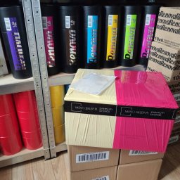 MEVO GROUP SPÓŁKA Z OGRANICZONĄ ODPOWIEDZIALNOŚCIĄ - Półka magazynowa z zapasem produktów: kolorowe opakowania papieru toaletowego Renova w tubach, pudełka chusteczek higienicznych, środki do czyszczenia w sprayu oraz płyn do mycia naczyń Finish,...