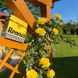 Środki czystości Bielsko-Biała 2