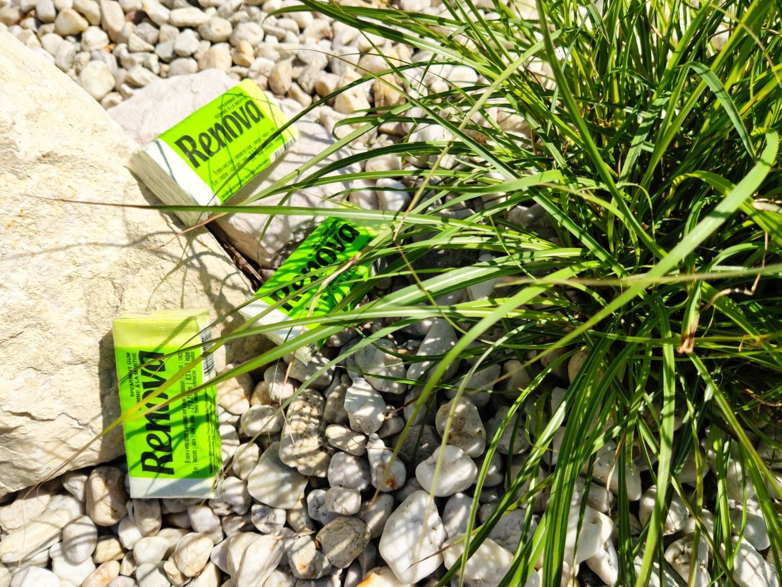 Dwa opakowania gum do żucia Renova o smaku miętowym, leżące na białych kamieniach obok kępy zielonej trawy, oświetlone naturalnym światłem.