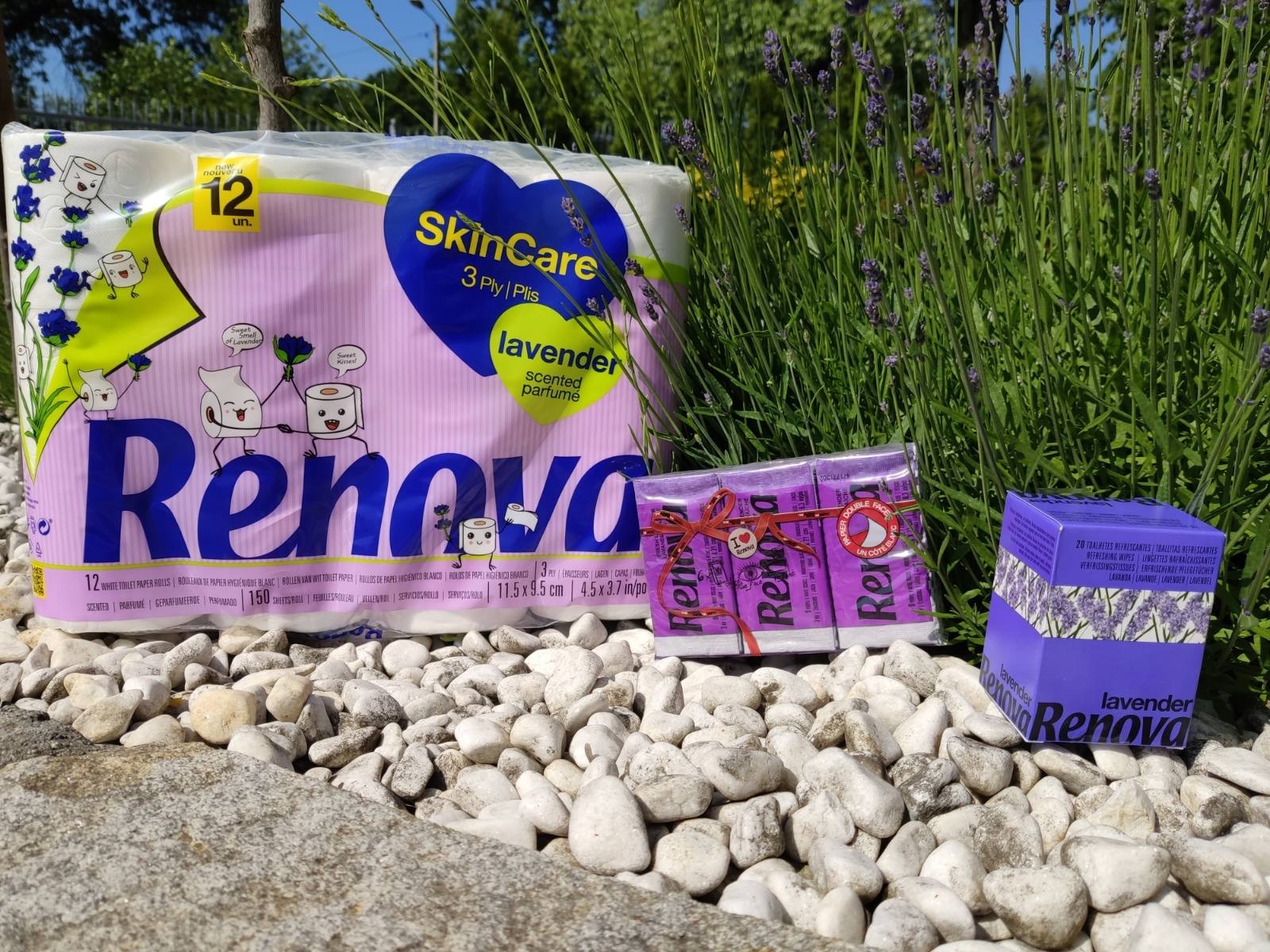 Zestaw lawendowych artykułów higienicznych Renova: papier toaletowy, chusteczki odświeżające i nawilżane, ułożone na białych kamieniach, z lawendą w tle.
