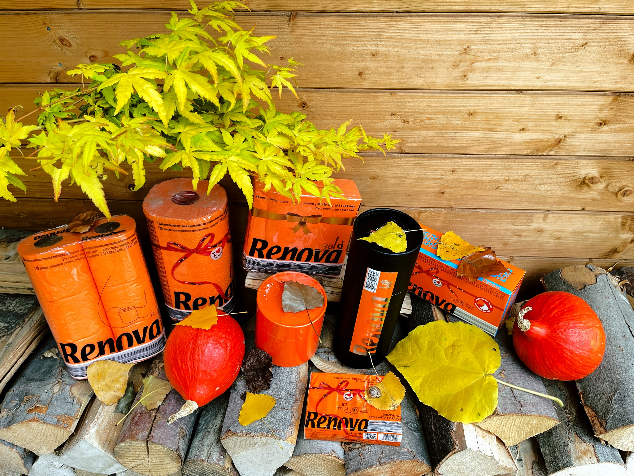 Aranżacja jesienna z pomarańczowymi rolkami papieru toaletowego Renova, pudełkami chusteczek higienicznych tej samej marki, dyniami i żółtymi liśćmi na tle drewnianej ściany i ułożonego drewna...