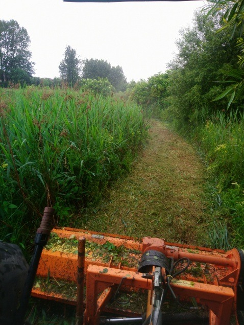 Widok z perspektywy operatora kosiarki bijakowej na skoszoną ścieżkę w wysokiej trawie, z fragmentami skoszonej zieleni wewnątrz pomarańczowej obudowy urządzenia.