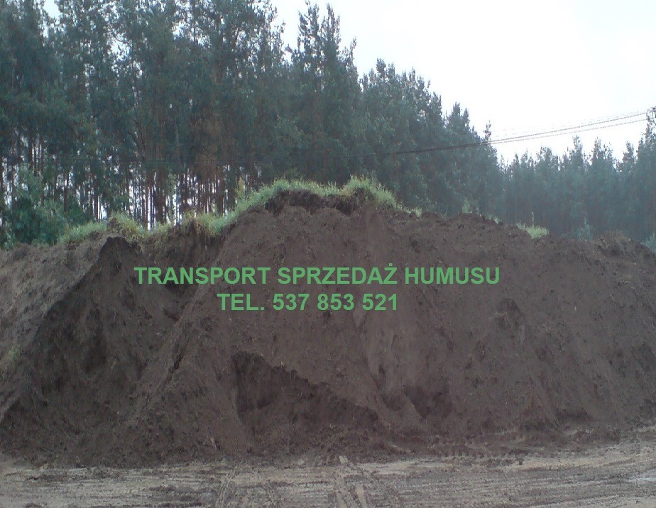 Góra ziemi ogrodowej (humusu) na placu budowy lub składowisku, widoczne ślady opon pojazdów, w tle las iglasty, na ziemi zielony napis informujący o transporcie i sprzedaży humusu oraz numer telefonu.