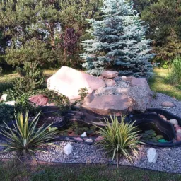 Oczko wodne z kamieniami, liliami wodnymi i ozdobnymi figurkami kaczek, otoczone żwirem i roślinnością ogrodową, w tle drzewa iglaste i liściaste.