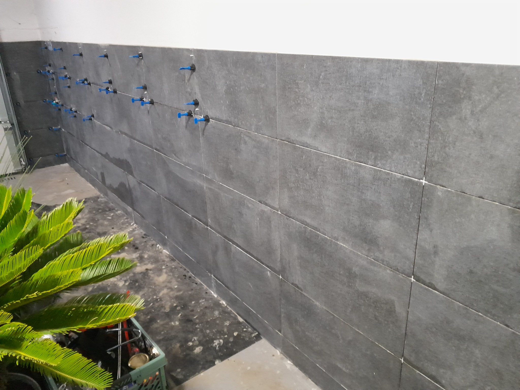 Ściana wyłożona szarymi płytkami, z widocznymi niebieskimi elementami poziomującymi, na podłodze widoczny kwiatek doniczkowy i zabrudzenia.